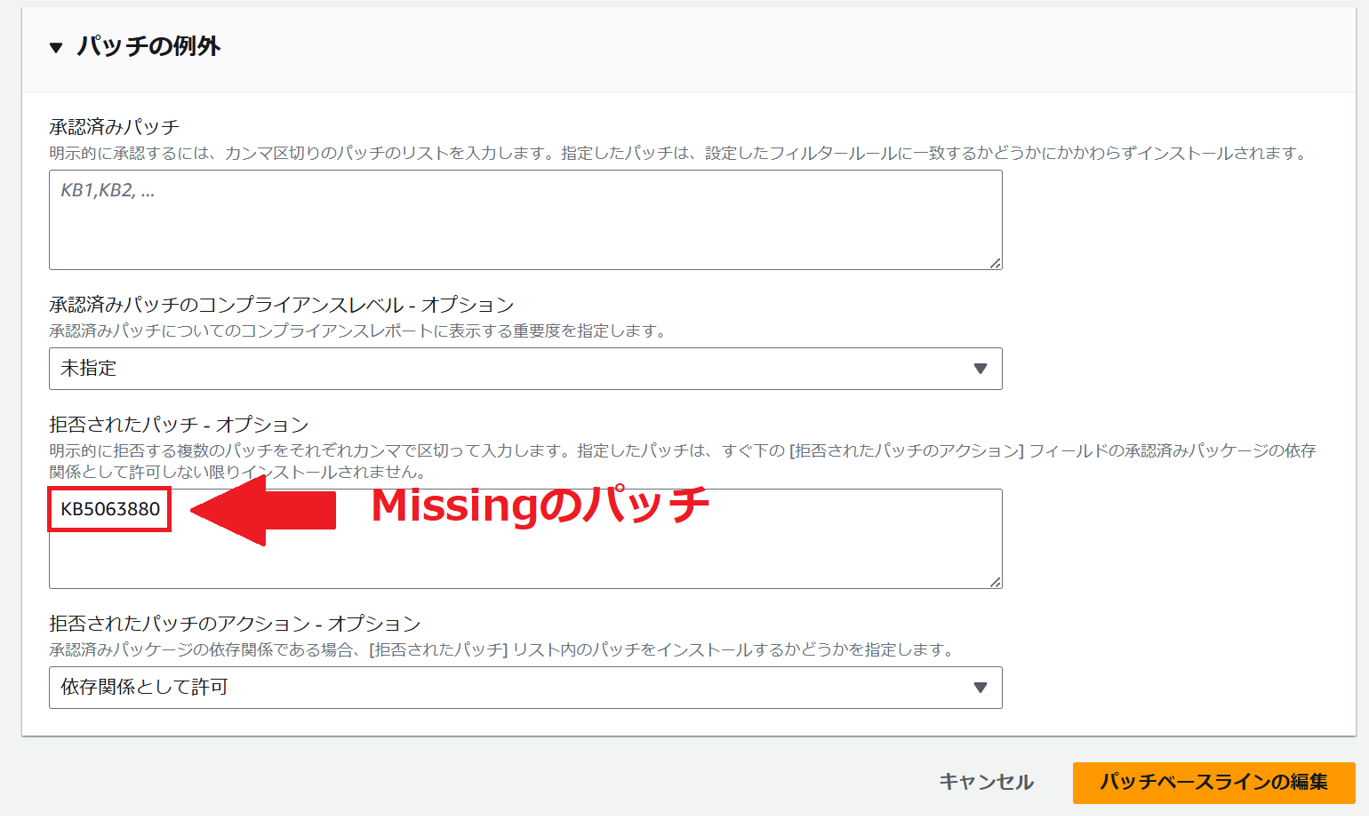 パッチの例外.png