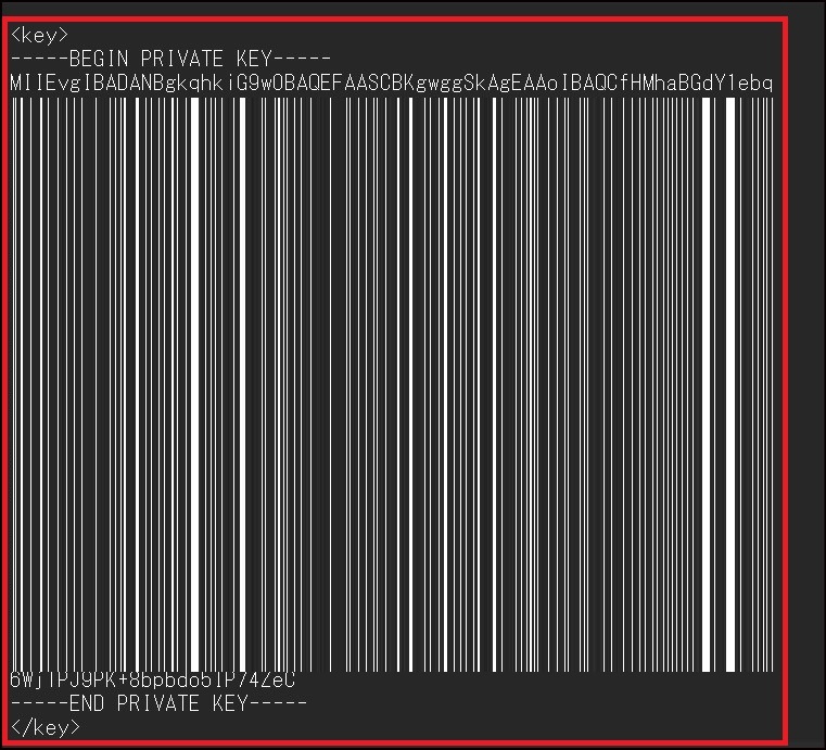 vpn</em>05.jpg